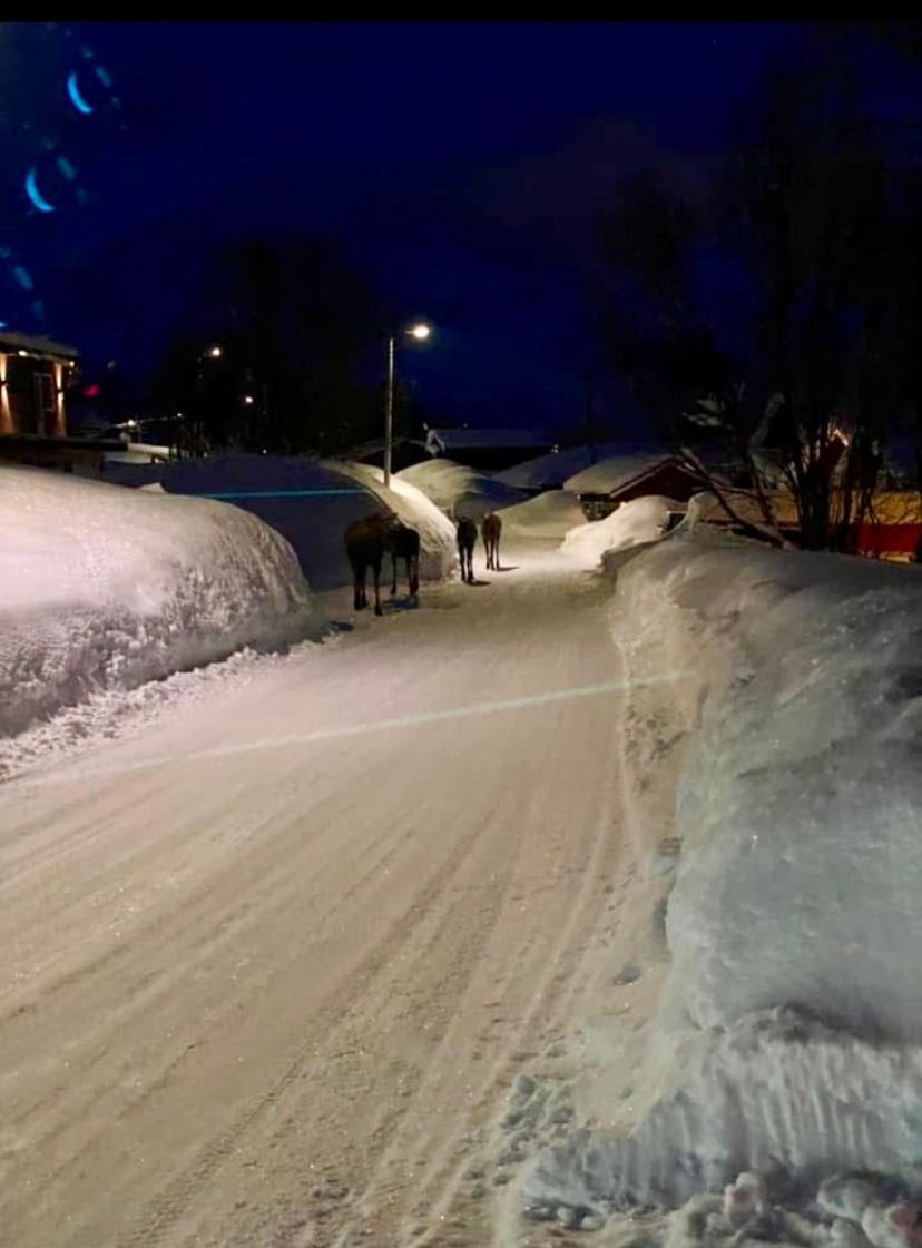 Casa Tromsø